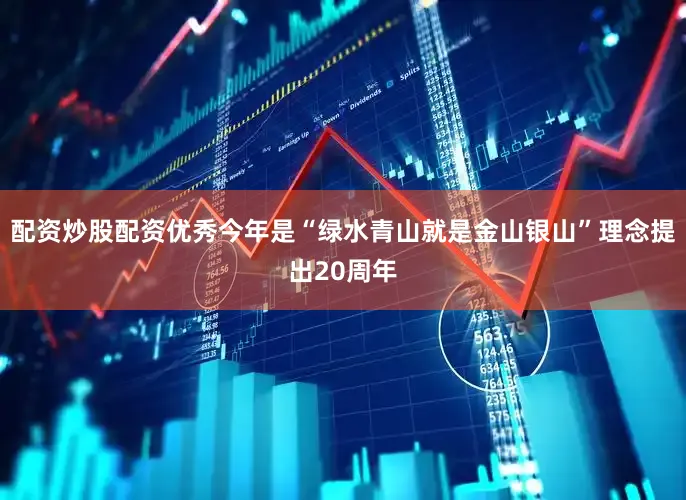 配资炒股配资优秀　　今年是“绿水青山就是金山银山”理念提出20周年