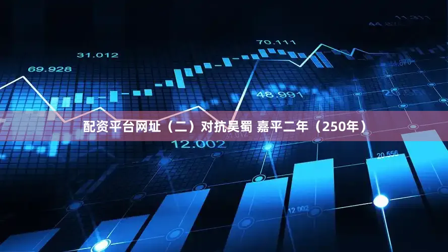 配资平台网址（二）对抗吴蜀 嘉平二年（250年）