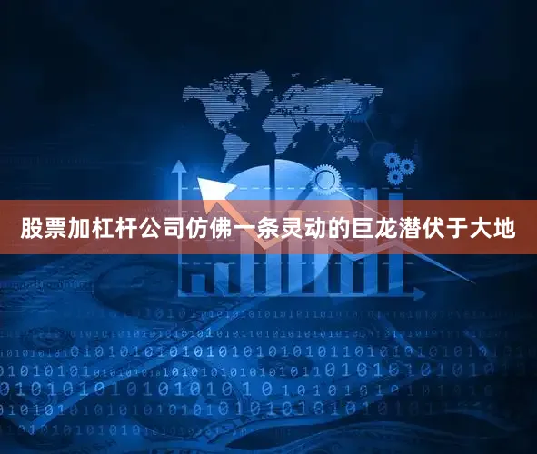 股票加杠杆公司仿佛一条灵动的巨龙潜伏于大地